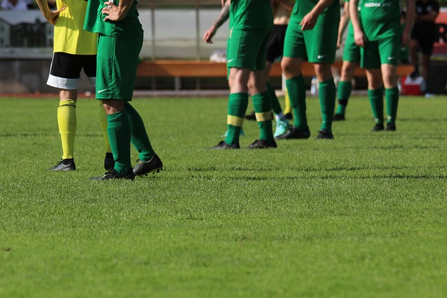 教练组根据 教练组根据