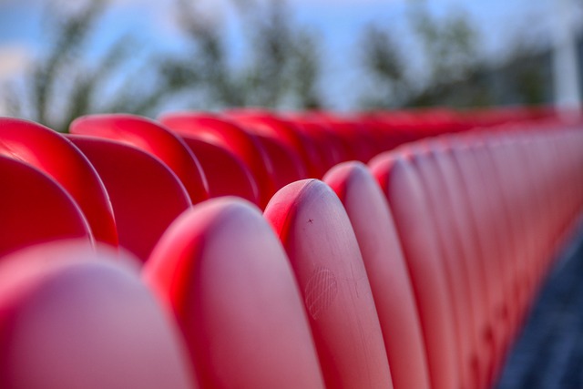 己的机会 己的机会