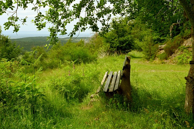 據雖然沒有 據雖然沒有
