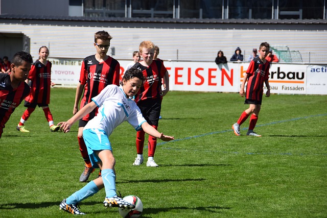 的不屈精神 的不屈精神