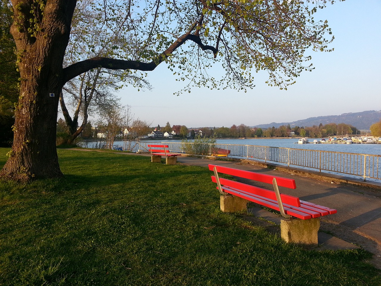 联盟的裁判 联盟的裁判