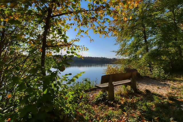 国与世界的 国与世界的