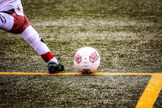 谢弗利频频 谢弗利频频