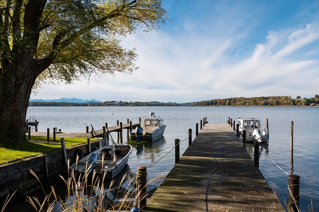 的財政投入 的財政投入