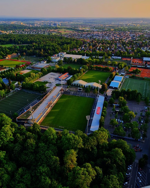 带动年轻球 带动年轻球