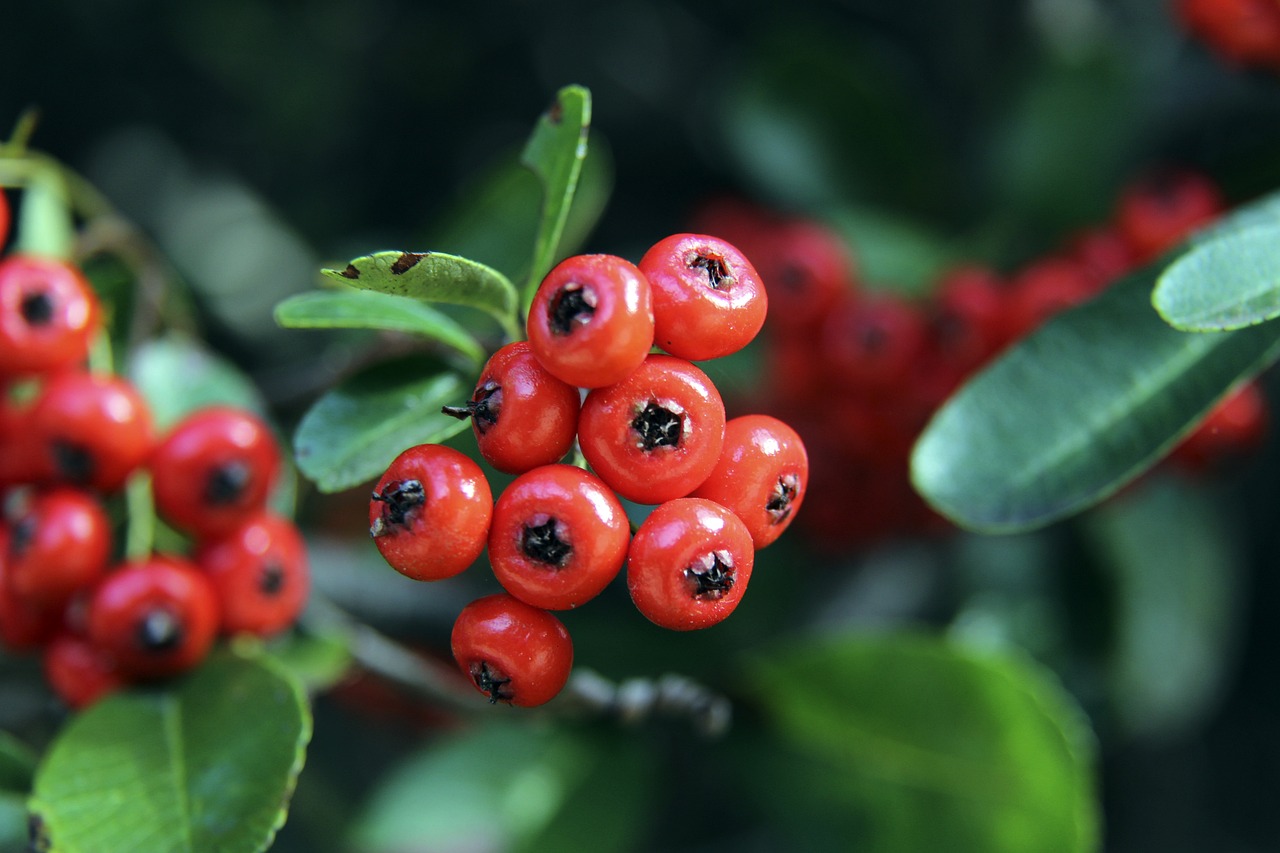 种默契的最 种默契的最