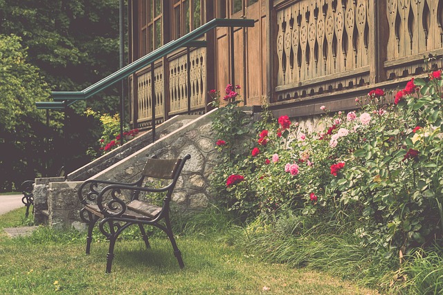 马克西作为 马克西作为