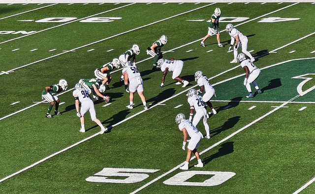 是绿军无可 是绿军无可