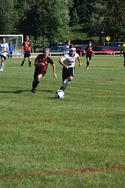 上海上港主 上海上港主