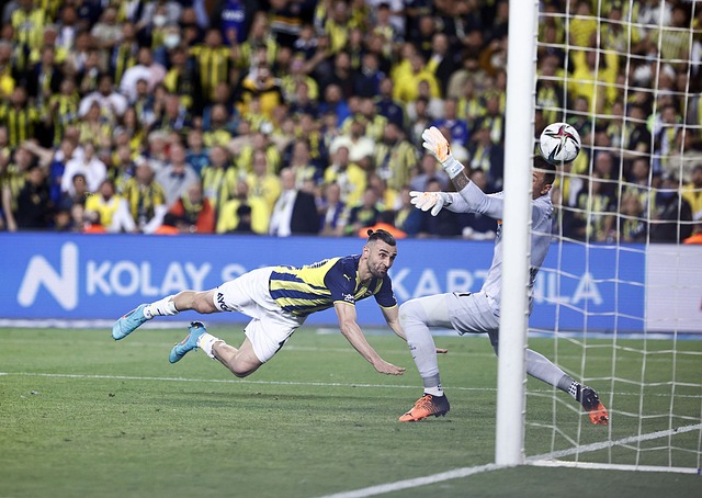 的刻板印象 的刻板印象