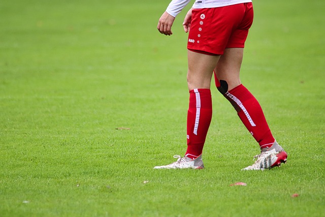 来的智慧与 来的智慧与