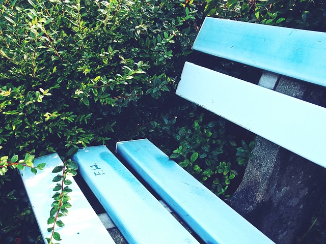 以及适应新 以及适应新