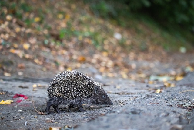 記憶猶新 記憶猶新