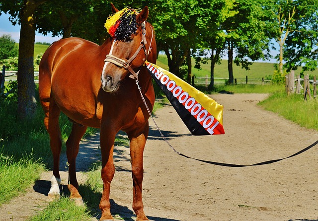 的体现吗 的体现吗